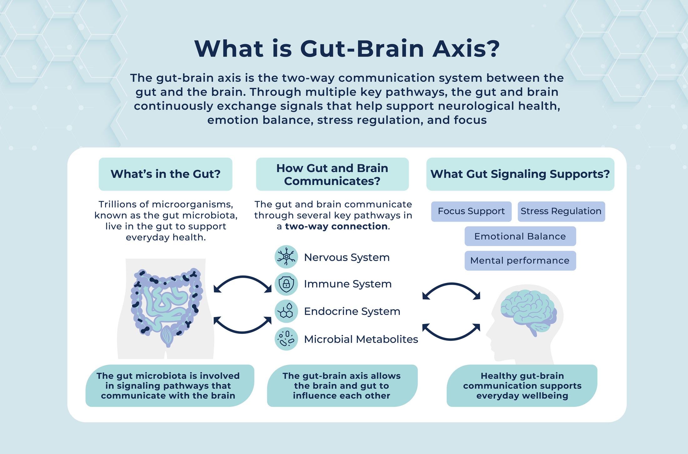 What is Gut-Brain Axis?